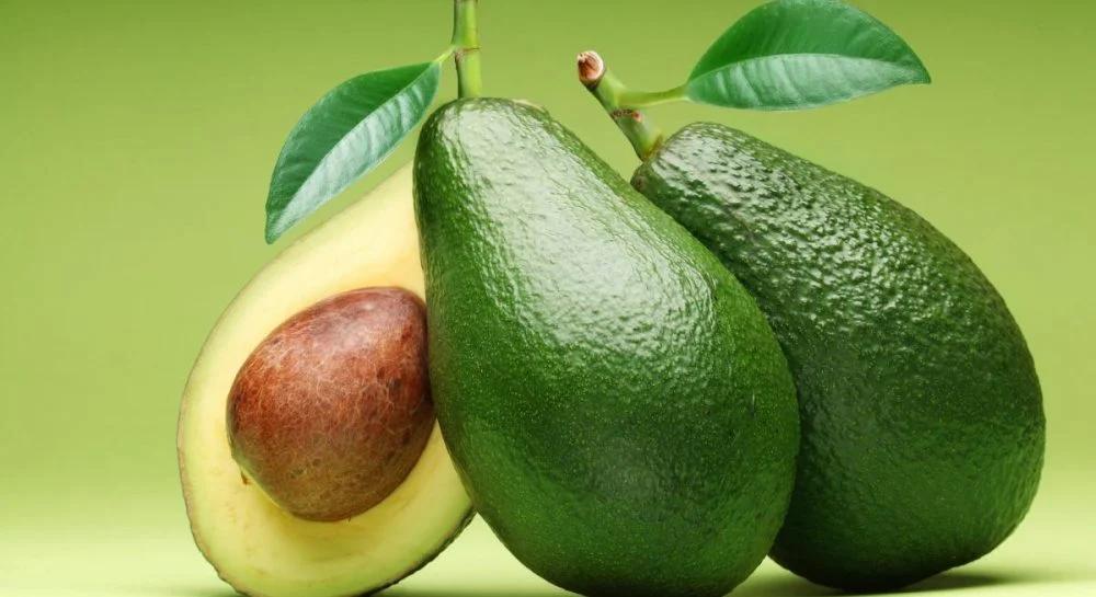 Fresh and Ripe Avocados – Your Green Luxury